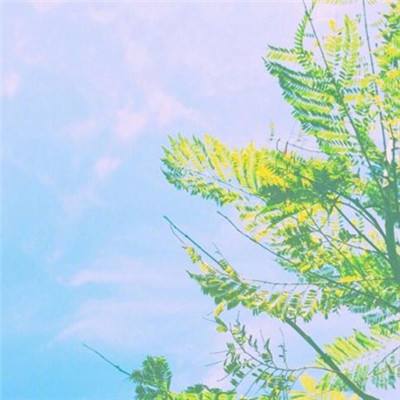 兔小萌蛋糕城堡手机版下载